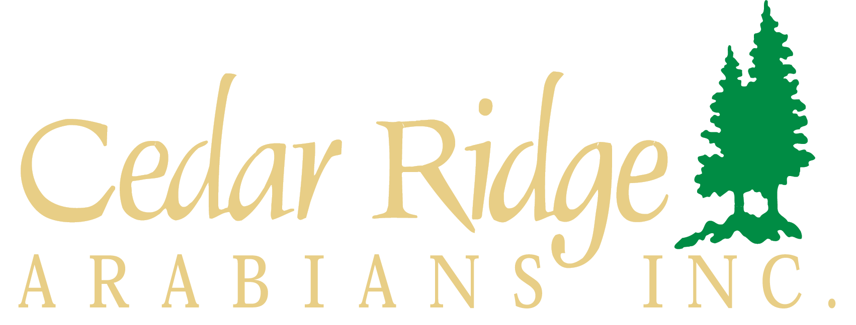 Cedar-Ridge-Arab-goldgrn.png